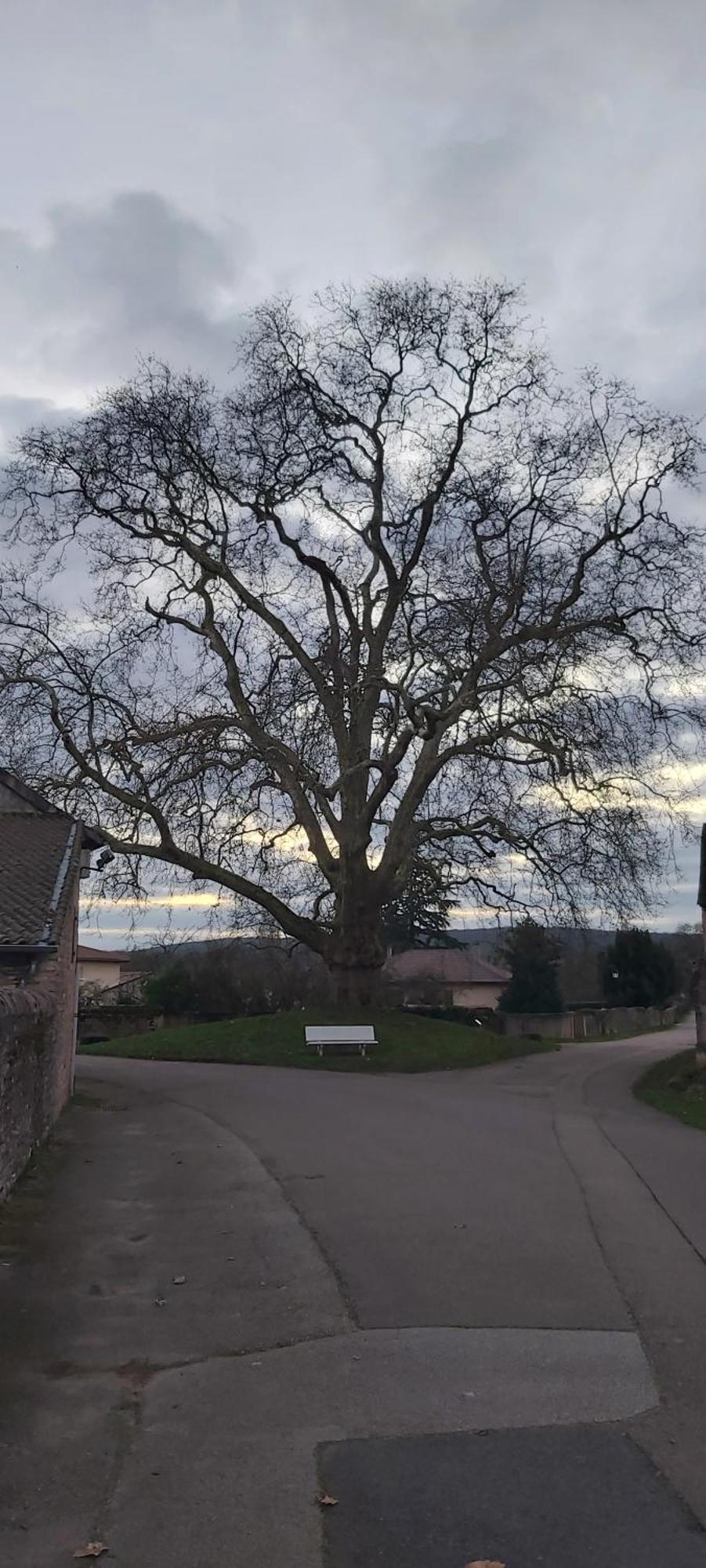 Le Gite Et Puits C'Est Tout Préty Quarto foto